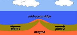 A picture containing drawing Description automatically generated
