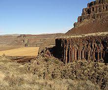 A picture containing grass, outdoor, building, standing Description automatically generated