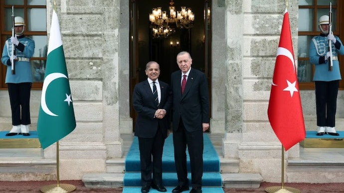 Pakistani Prime Minister Shehbaz Sharif and Turkish President Recep Tayyip Erdogan both attended the Doha summit on Monday. (File Image)