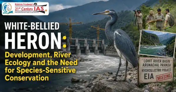White-Bellied Heron in the Lohit Basin highlighting river ecology conservation